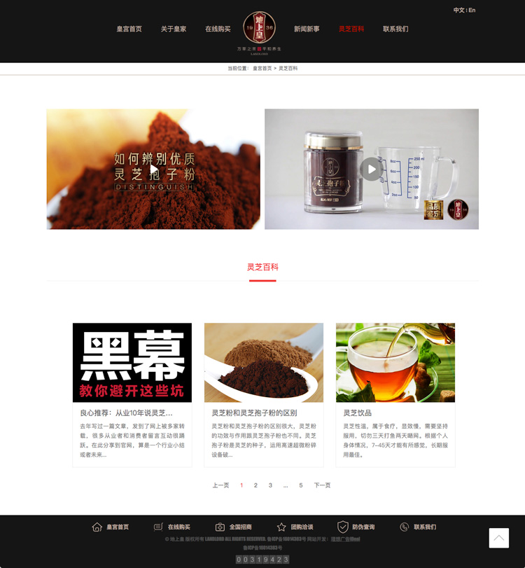聊城地上皇灵芝官方网站淘宝网店设计制作开发-理想广告设计公司4.jpg